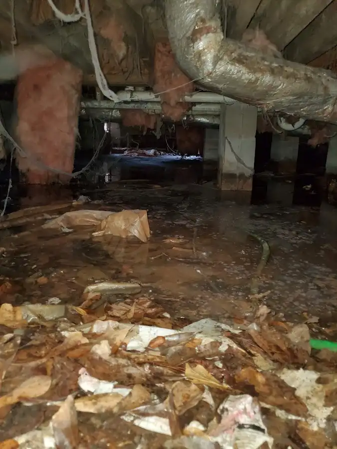 Crawl space flood assessment for Leak Detection & Repair in Ellettsville