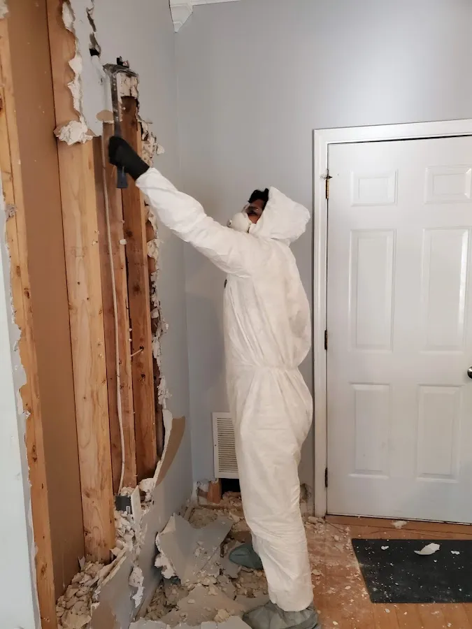 Water Damage Restoration services in Ellettsville, IN